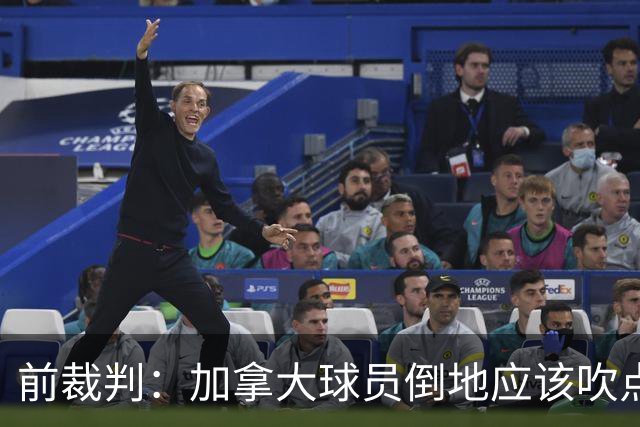 前裁判：加拿大球员倒地应该吹点球，VAR介不介入的标准不统一